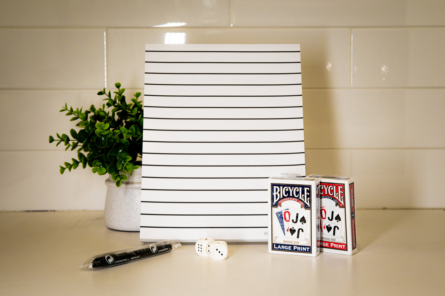 Pad of paper, playing cards blue and red deck, tactile dice and pentel pen with a flower pot behind