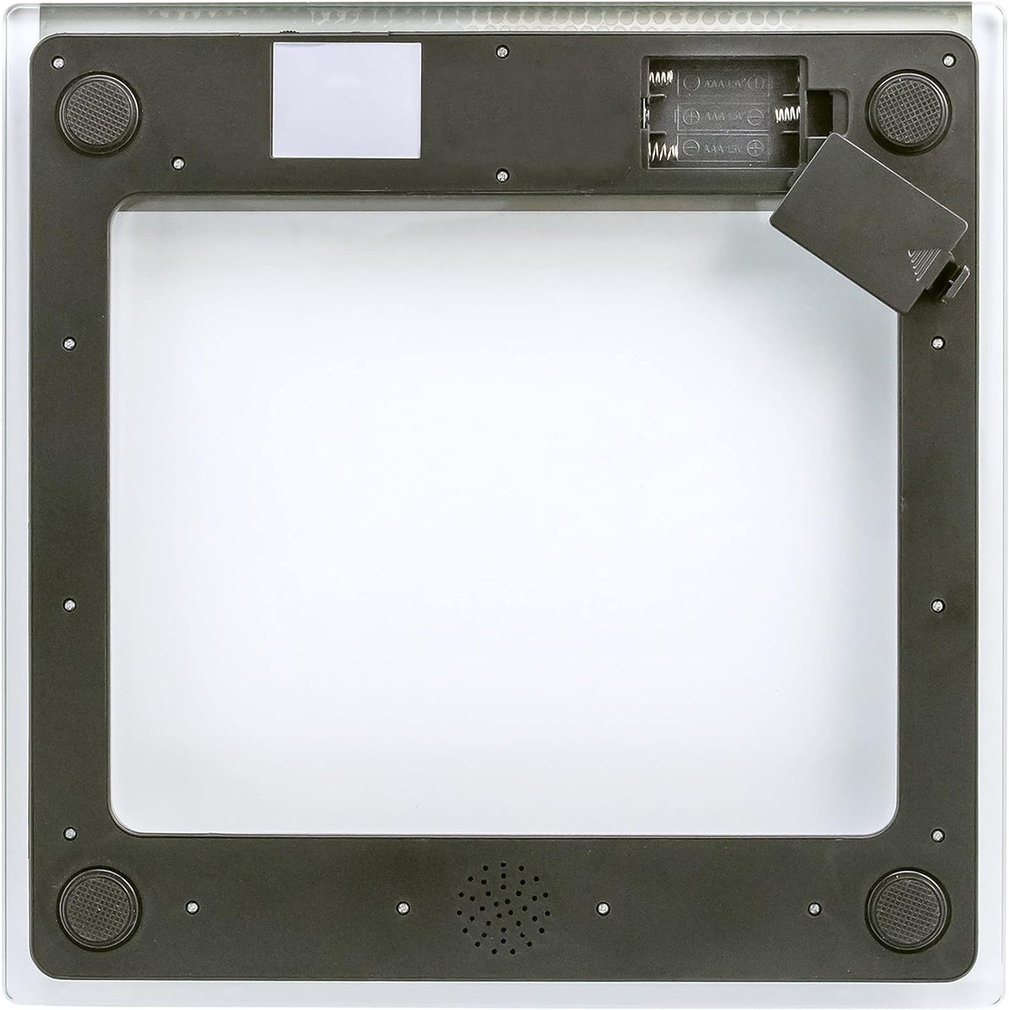 Taylor Talking Body Scale 5 Languages