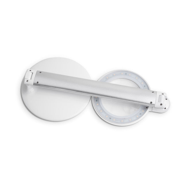 Daylight Company Halo Table Magnifying Lamp