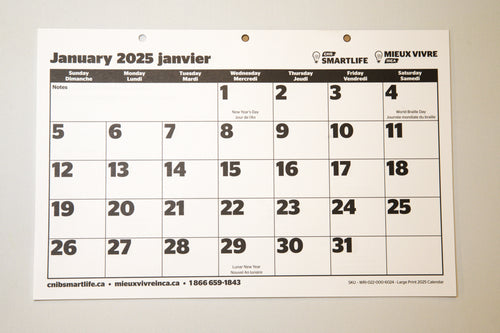 Large Print 2025 Calendar