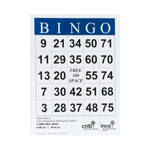 FINAL SALE CNIB Large Print Bingo Card - BB