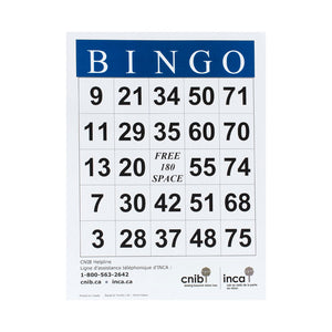 Image of FINAL SALE CNIB Large Print Bingo Card - BB