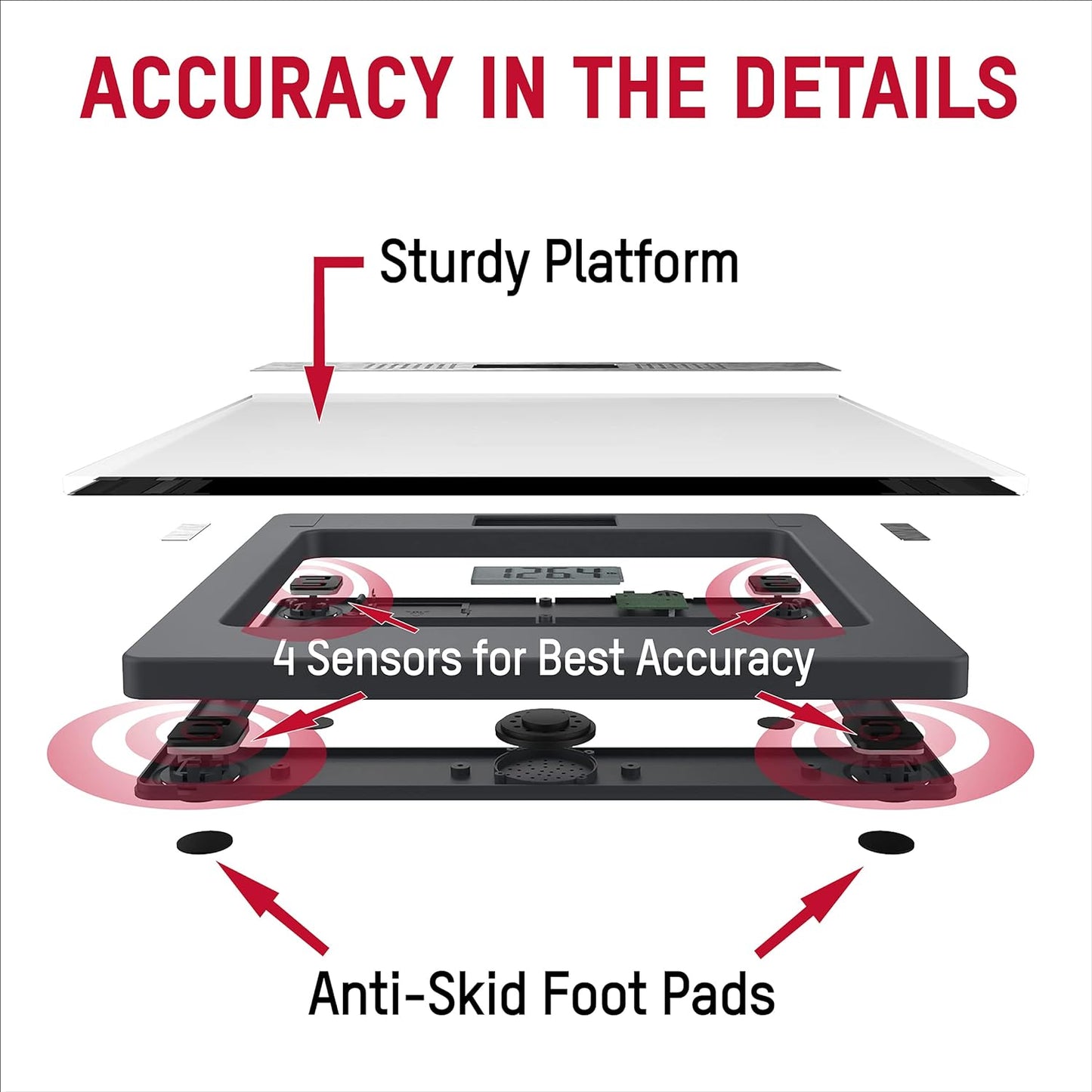 Taylor Talking Body Scale 5 Languages