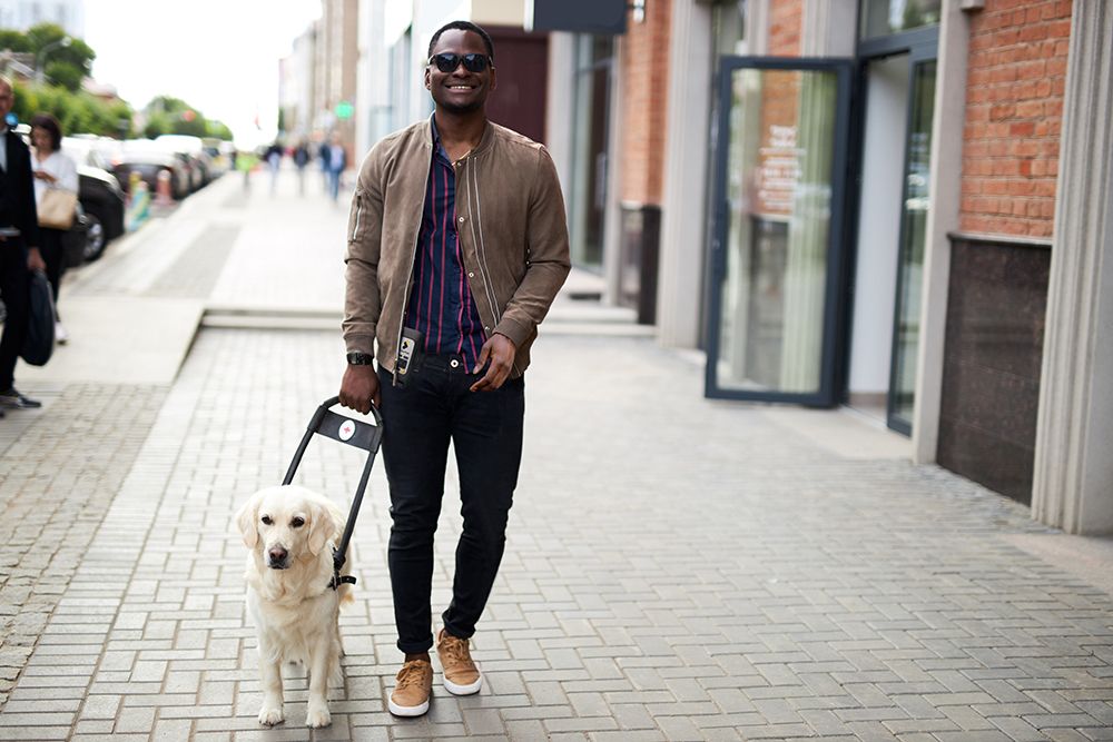 A guide dog user walking with the Stellar Trek attached to a belt