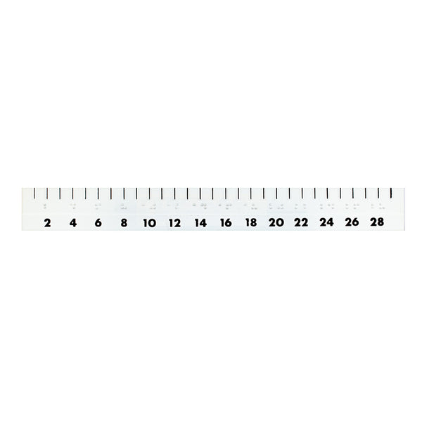Braille Scale Ruler 30cm Flexible Braille/Large Print Ruler 1-03031-00 – CNIB SMARTLIFE